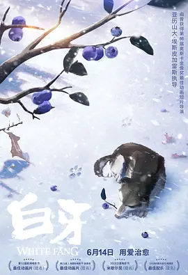 成人精品国产