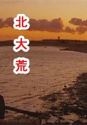 久草免费小视频